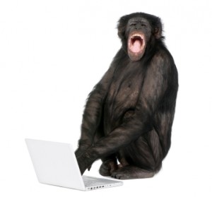 Monkey playing with a laptop