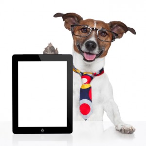 Business Dog from iStock