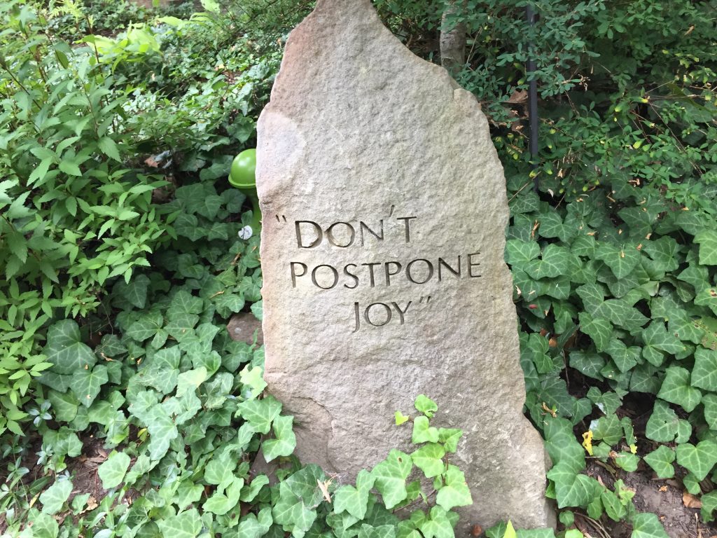 Don't postpone joy