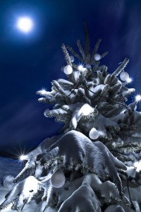 Christmas Tree by pixaio at Stock.xchng